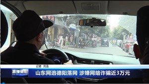 山东网逃德阳落网 涉嫌网络诈骗近3万元