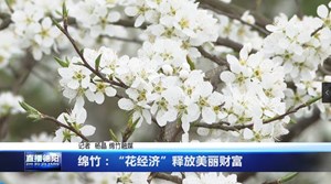 绵竹：“花经济”释放美丽财富