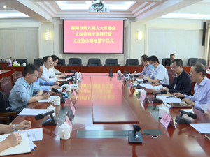 发挥咨询专家作用 提高地方立法质效