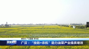 广汉：“技防+农机” 助力油菜产业提质增效
