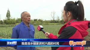 春灌缺水 稻田“喊渴”