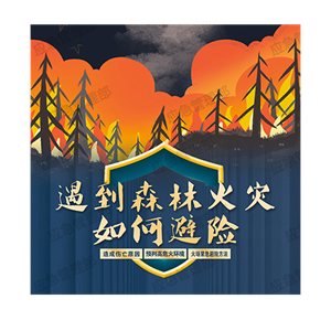 一图读懂！遇到森林火灾如何避险