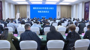德阳市2022年度重大项目领航员座谈会举行