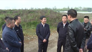 市领导率队开展2022年第一季度巡河督导