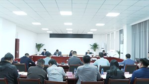 纵深推进全面从严治党 推动天府旌城高质量发展