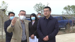 市领导分别率队赴中江广汉开展督导