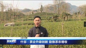 什邡：茶企升级创新 助推茶农增收