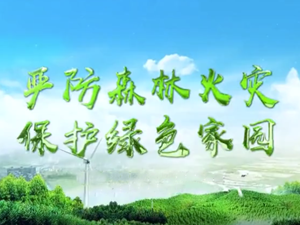 森林草原防火季｜《严防森林火灾，保护绿色家园》