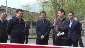 筑牢森林防火安全防线 确保安全生产平稳有序