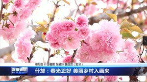 什邡：春光正好 美丽乡村入画来