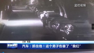 汽车：抓住他！这个男子伤害了“我们”