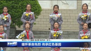 缅怀革命先烈 传承红色基因