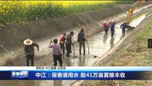 中江：保春灌用水 助41万亩夏粮丰收
