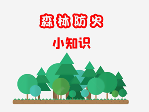 叮咚！您的森林防火小知识，请查收！