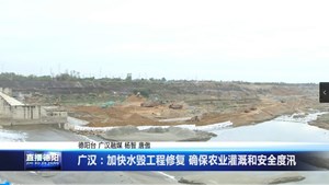 广汉：加快水毁工程修复 确保农业灌溉和安全度汛