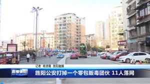 旌阳公安打掉一个零包贩毒团伙 11人落网