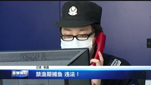 禁渔期捕鱼 违法！