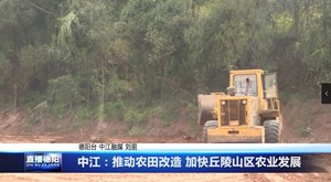 中江：推动农田改造 加快丘陵山区农业发展