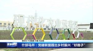 什邡马井：党建联盟蹚出乡村振兴“好路子”
