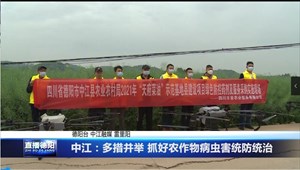 中江：多措并举 抓好农作物病虫害统防统治