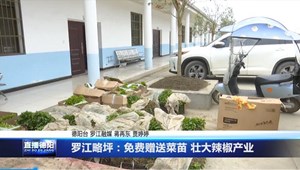 罗江略坪：免费赠送菜苗 壮大辣椒产业