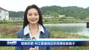 稻美虾肥 中江黄鹿闯出农民增收新路子