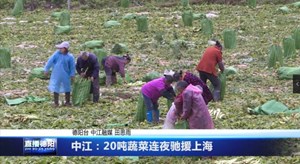 中江：20吨蔬菜连夜驰援上海