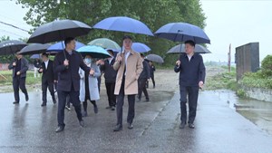 市领导率队赴广汉巡河督导湔江河长制工作