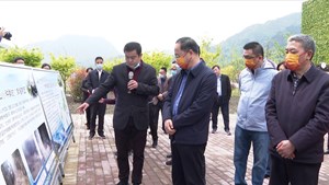 省政协副主席杜和平一行赴绵竹调研