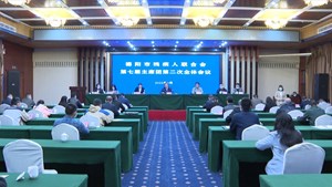 市残联第七届主席团第二次全体会议召开