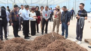市政协委员视察我市现代农业园区建设推进情况