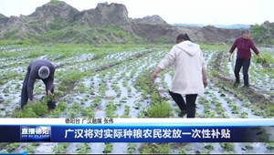 广汉将对实际种粮农民发放一次性补贴