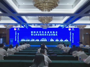 发挥独特优势强化服务职能 为高质量发展贡献智慧力量