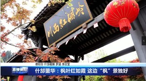 什邡蓥华：枫叶红如霞 这边“枫”景独好