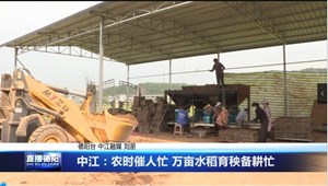 中江：农时催人忙 万亩水稻育秧备耕忙