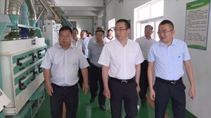 罗文全率队赴旌阳区调研乡村振兴工作