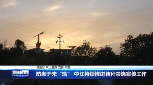 防患于未“燃” 中江持续推进秸秆禁烧宣传工作