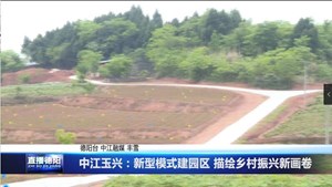 中江玉兴：新型模式建园区 描绘乡村振兴新画卷