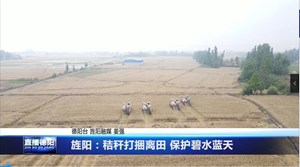 旌阳：秸秆打捆离田 保护碧水蓝天