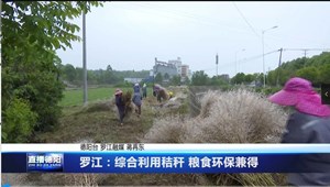 罗江：综合利用秸秆 粮食环保兼得
