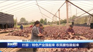 什邡：特色产业强起来 农民腰包鼓起来
