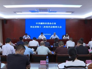 市委办公室、德阳经开区分别召开会议传达学习省第十二次党代会精神 