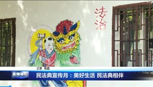民法典宣传月：美好生活 民法典相伴