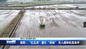 旌阳：“红五月”里忙“双抢” 无人插秧机显身手