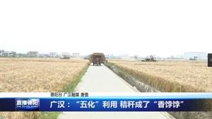 广汉：“五化”利用 秸秆成了“香饽饽”