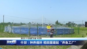 什邡：种养循环 稻田里建起“养鱼工厂”