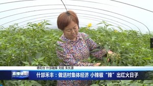 什邡禾丰：做活村集体经济 小辣椒“辣”出红火日子