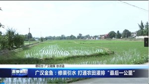 广汉金鱼：修渠引水 打通农田灌排“最后一公里”
