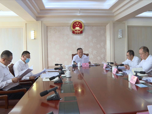 卢也主持召开市人大常委会党组（扩大）会议 