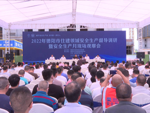德阳市召开住建领域安全生产专题督导调研暨现场会